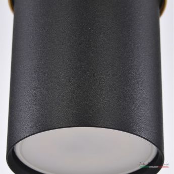 Подвесной светильник APL2232024CN SBK+SGD Arte Perfetto Luce